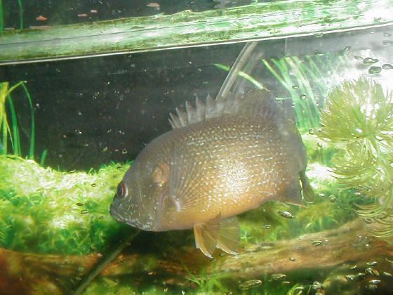 p1010021.jpg